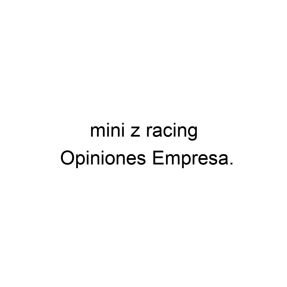 opiniones-mini-z-racing